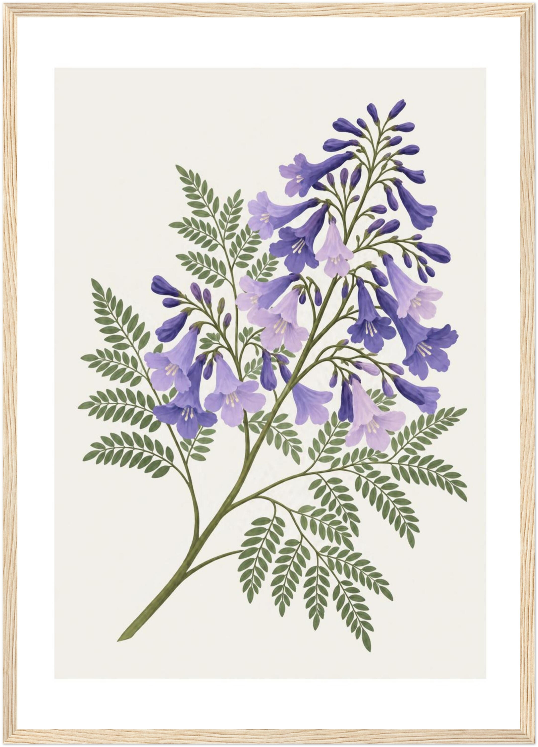 Australian Jacaranda Framed Poster